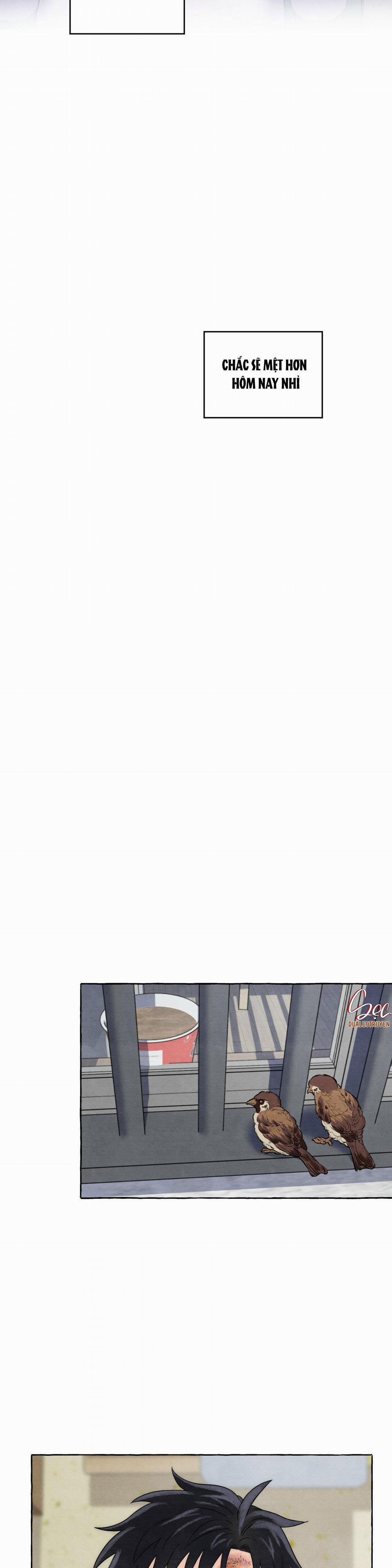 NHỮNG CON CHÓ TRONG TÙ 6 trang 21
