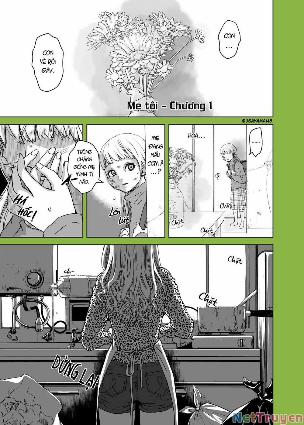 Những Người Bị Cướp Thể Xác Bởi Người Ngoài Hành Tinh 1 trang 0