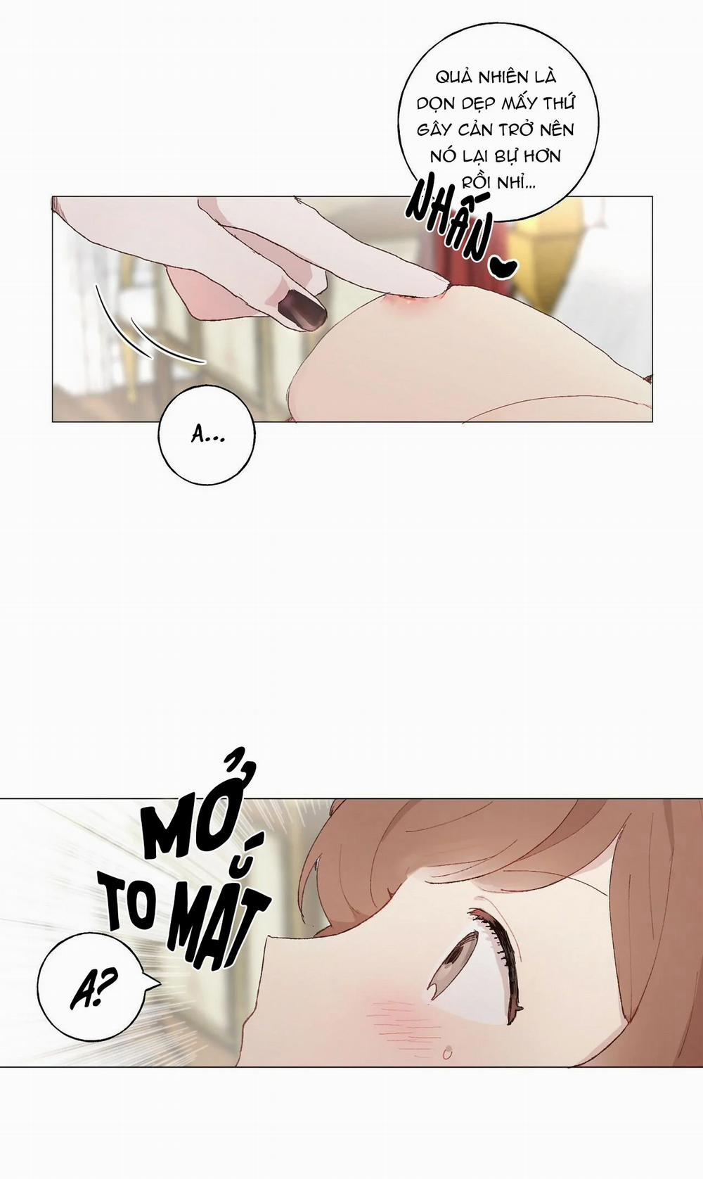 Những Vị Hôn Phu Thầy Kiếm Về Cho Tôi 10.1 trang 5