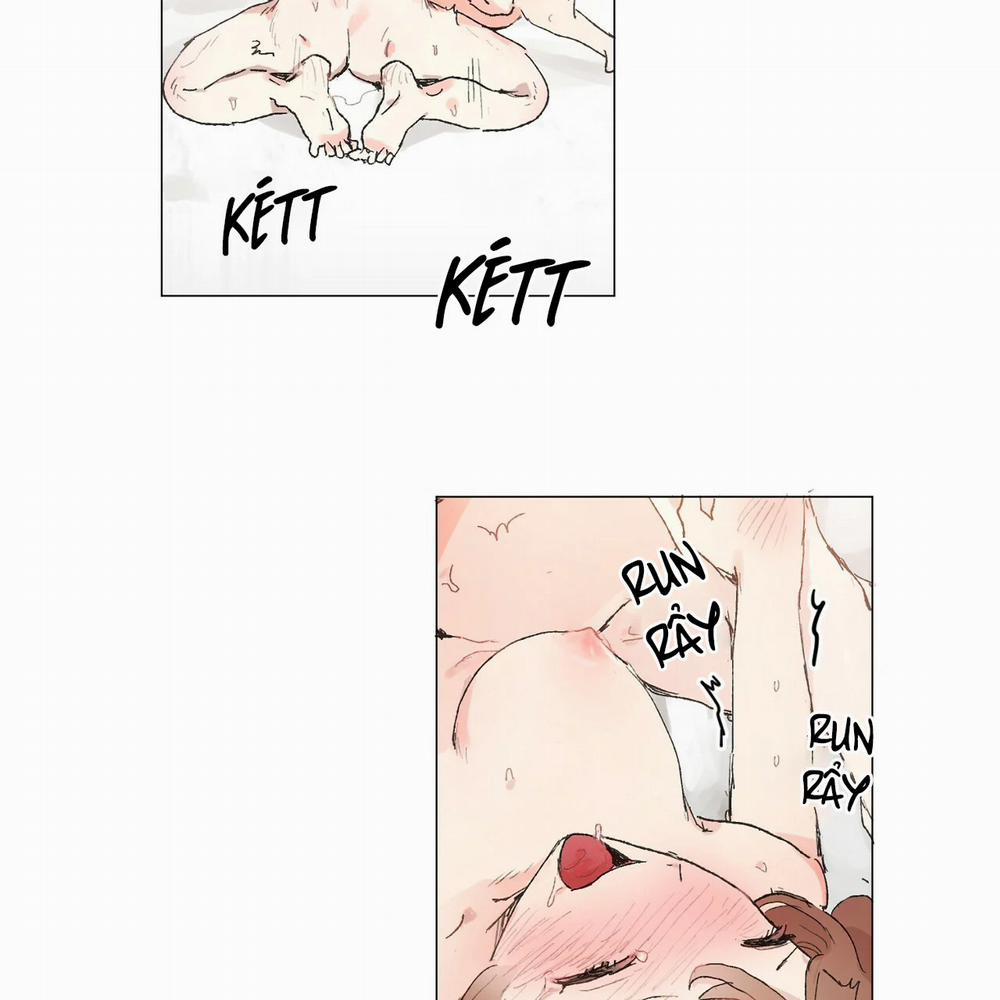 Những Vị Hôn Phu Thầy Kiếm Về Cho Tôi 12.1 trang 28