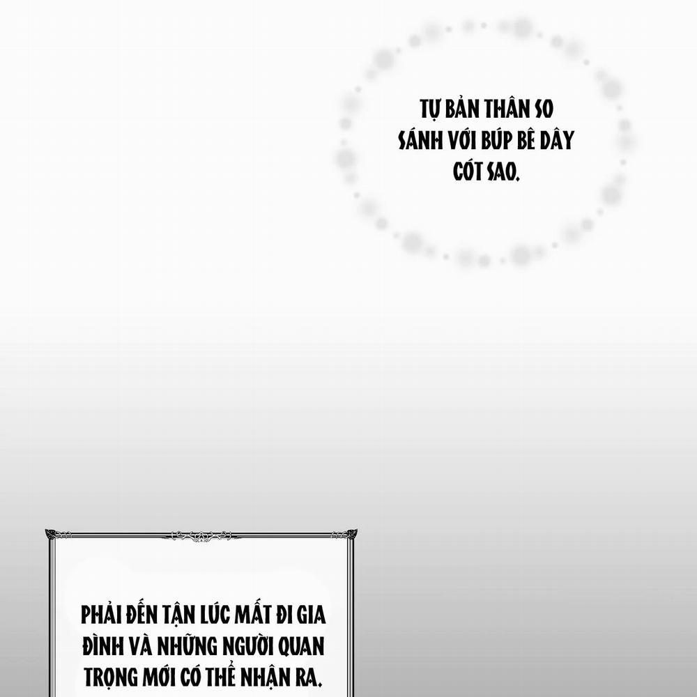 Những Vị Hôn Phu Thầy Kiếm Về Cho Tôi 12.2 trang 15