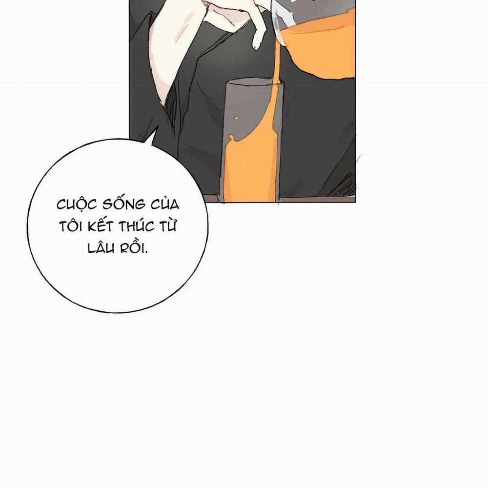 Những Vị Hôn Phu Thầy Kiếm Về Cho Tôi 12.2 trang 5