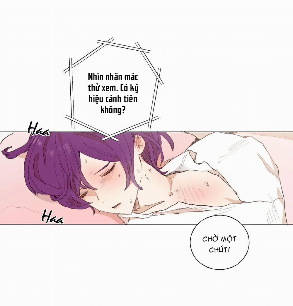 Những Vị Hôn Phu Thầy Kiếm Về Cho Tôi 15 trang 23