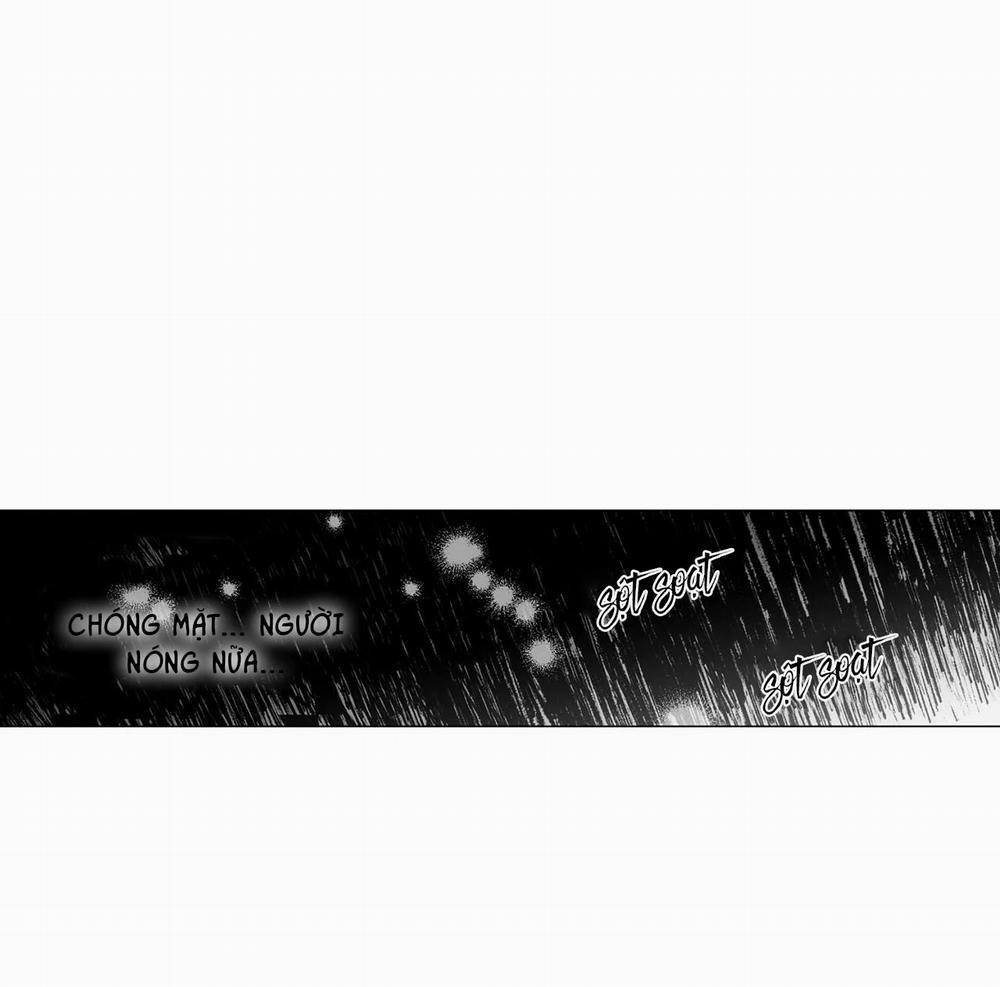 Những Vị Hôn Phu Thầy Kiếm Về Cho Tôi 15 trang 36