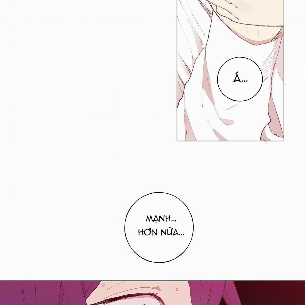 Những Vị Hôn Phu Thầy Kiếm Về Cho Tôi 16 trang 2