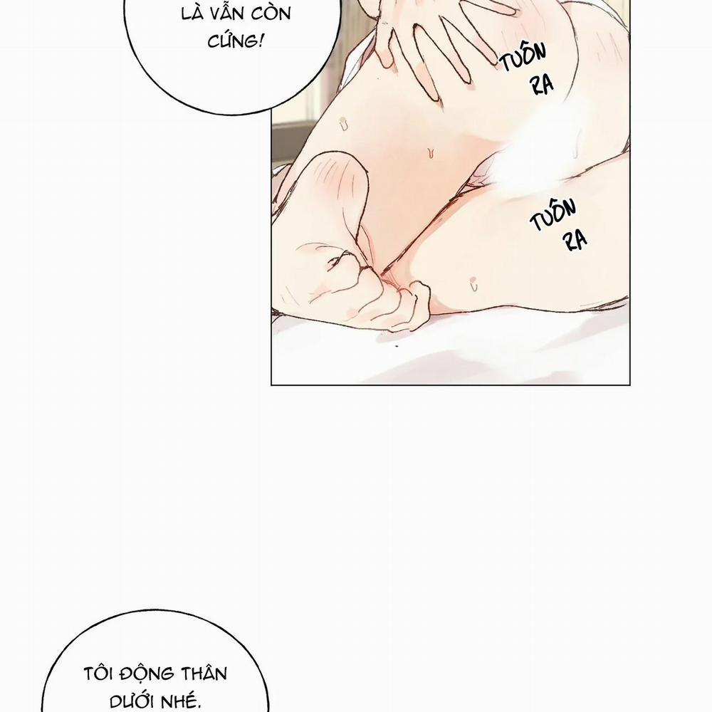 Những Vị Hôn Phu Thầy Kiếm Về Cho Tôi 16 trang 71