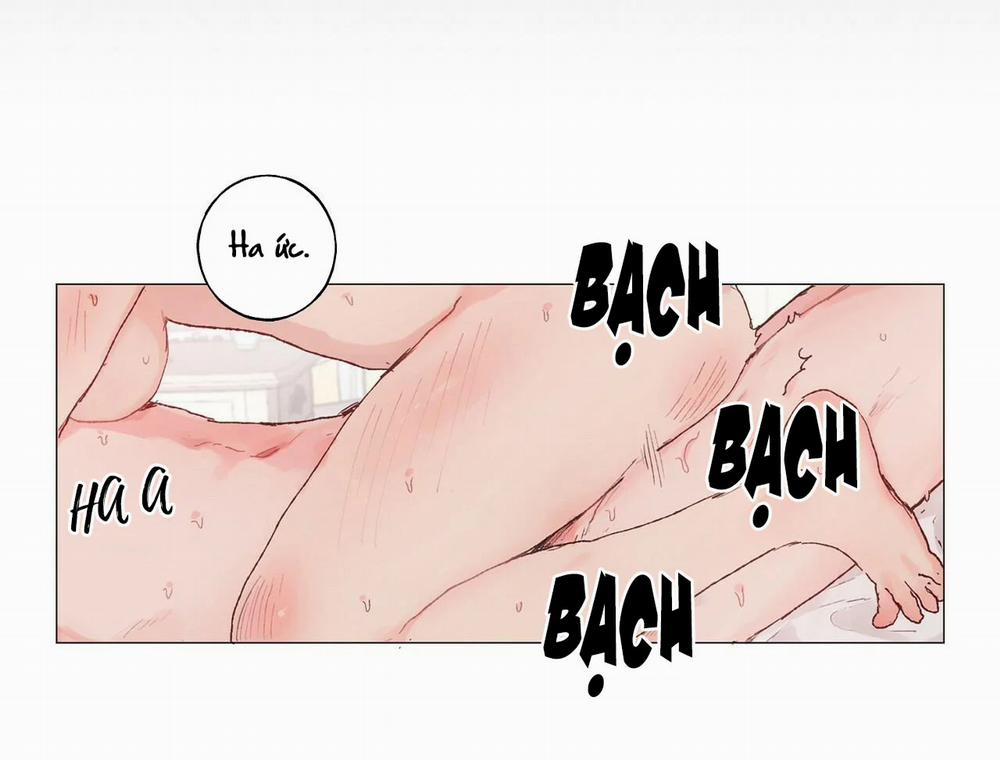 Những Vị Hôn Phu Thầy Kiếm Về Cho Tôi 17 trang 16