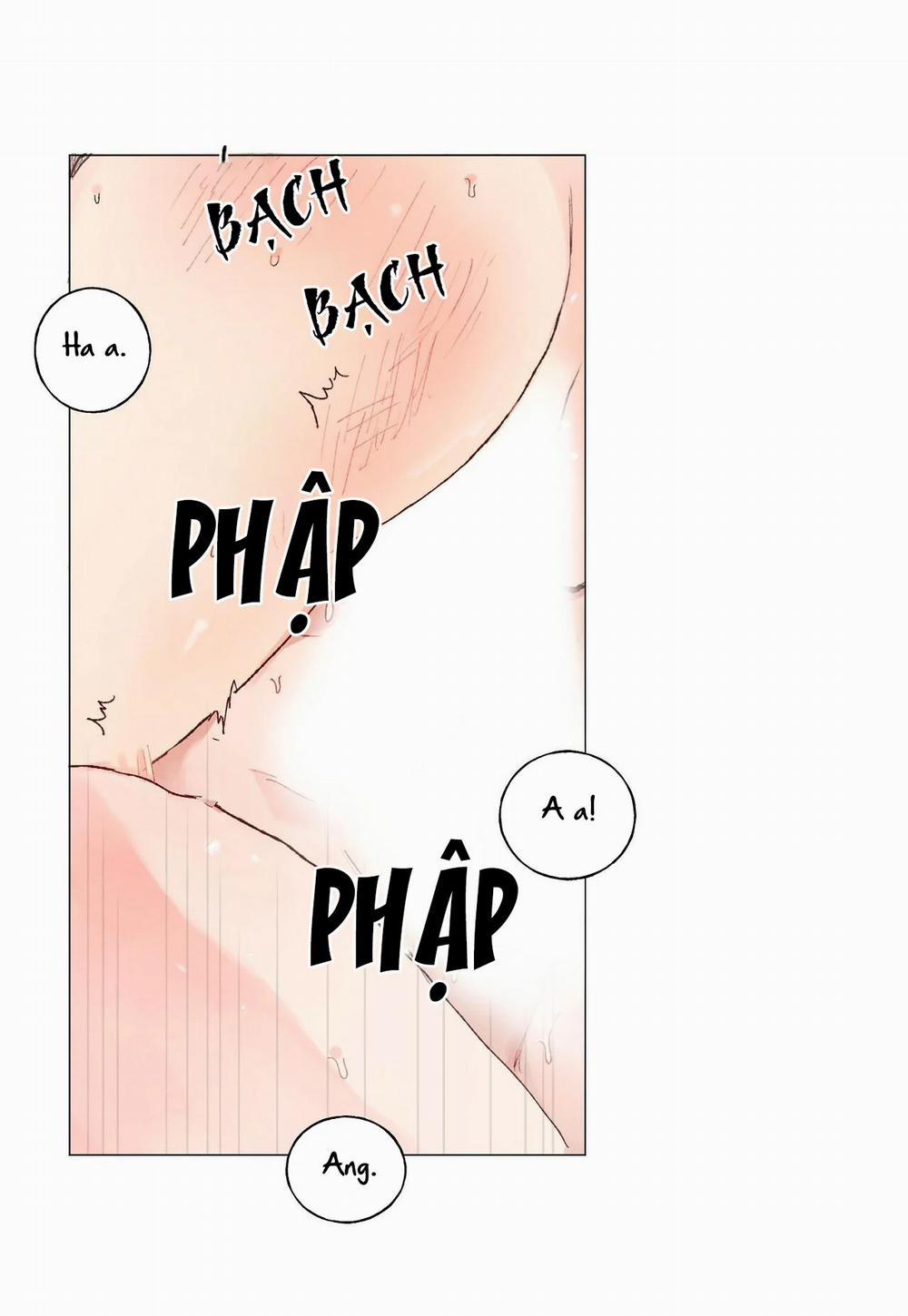 Những Vị Hôn Phu Thầy Kiếm Về Cho Tôi 17 trang 18