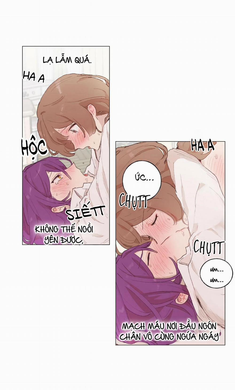 Những Vị Hôn Phu Thầy Kiếm Về Cho Tôi 17 trang 22