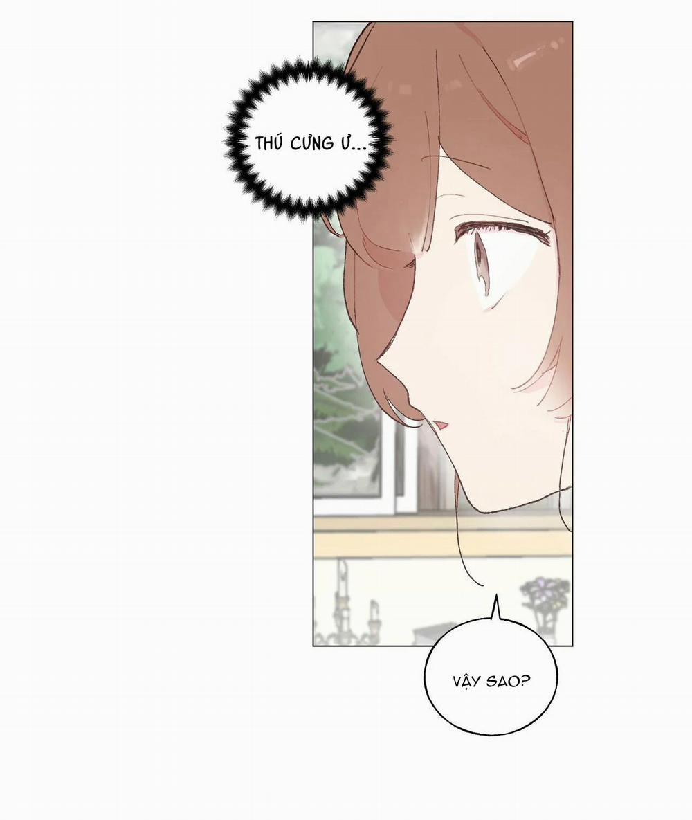 Những Vị Hôn Phu Thầy Kiếm Về Cho Tôi 17 trang 47