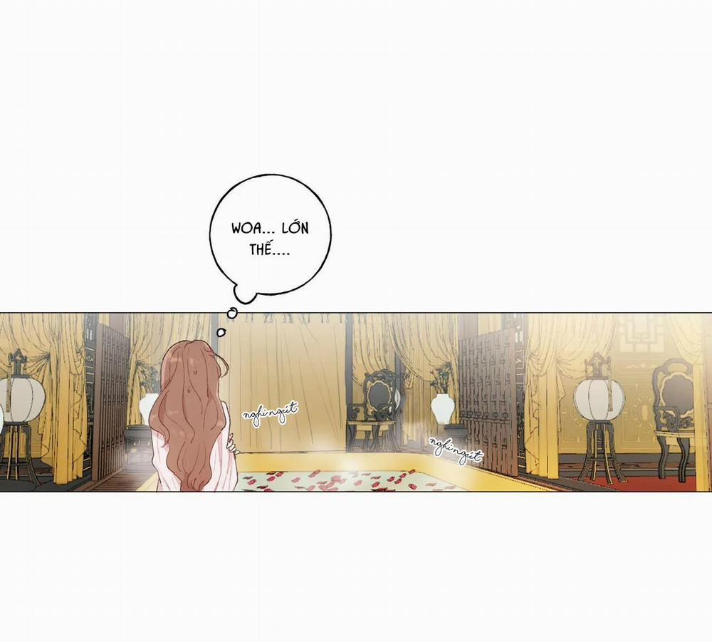 Những Vị Hôn Phu Thầy Kiếm Về Cho Tôi 21 trang 16