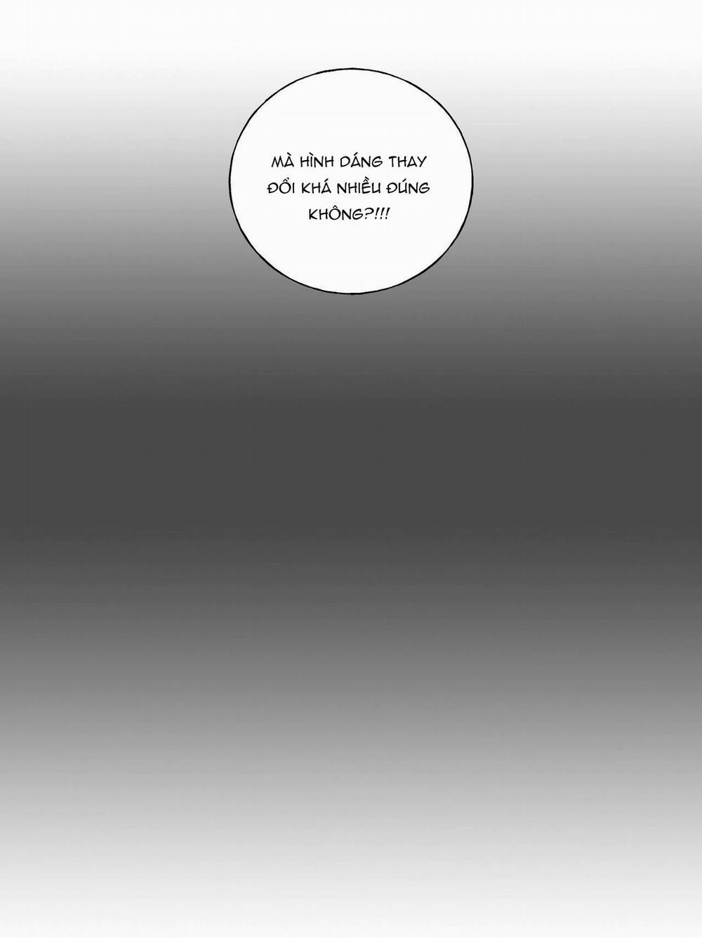 Những Vị Hôn Phu Thầy Kiếm Về Cho Tôi 21 trang 21