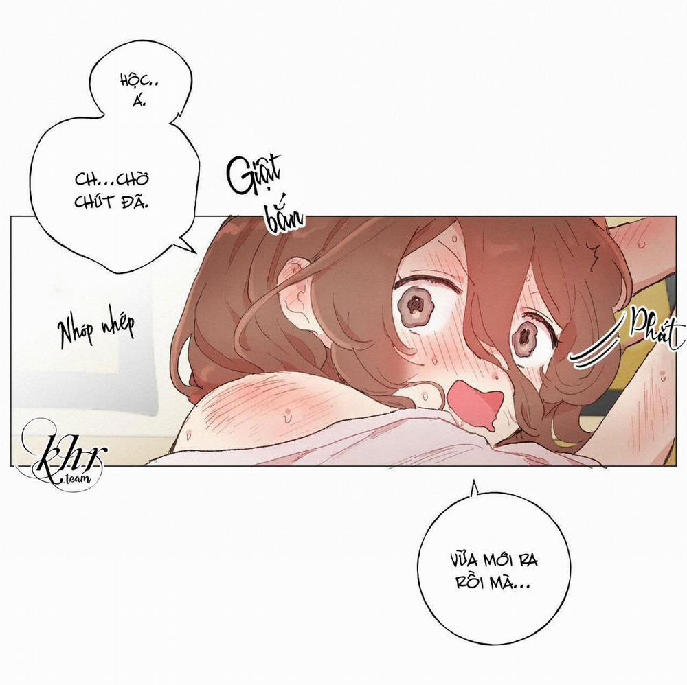 Những Vị Hôn Phu Thầy Kiếm Về Cho Tôi 23 trang 13