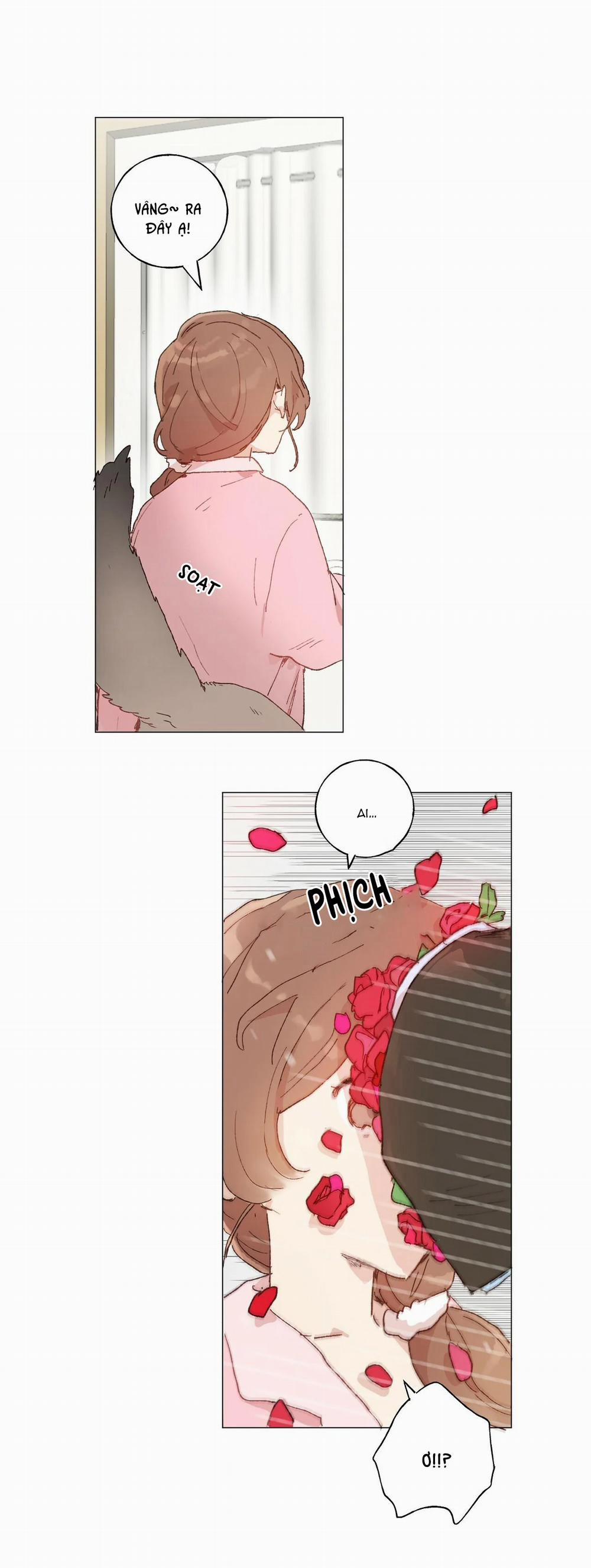 Những Vị Hôn Phu Thầy Kiếm Về Cho Tôi 24 trang 1