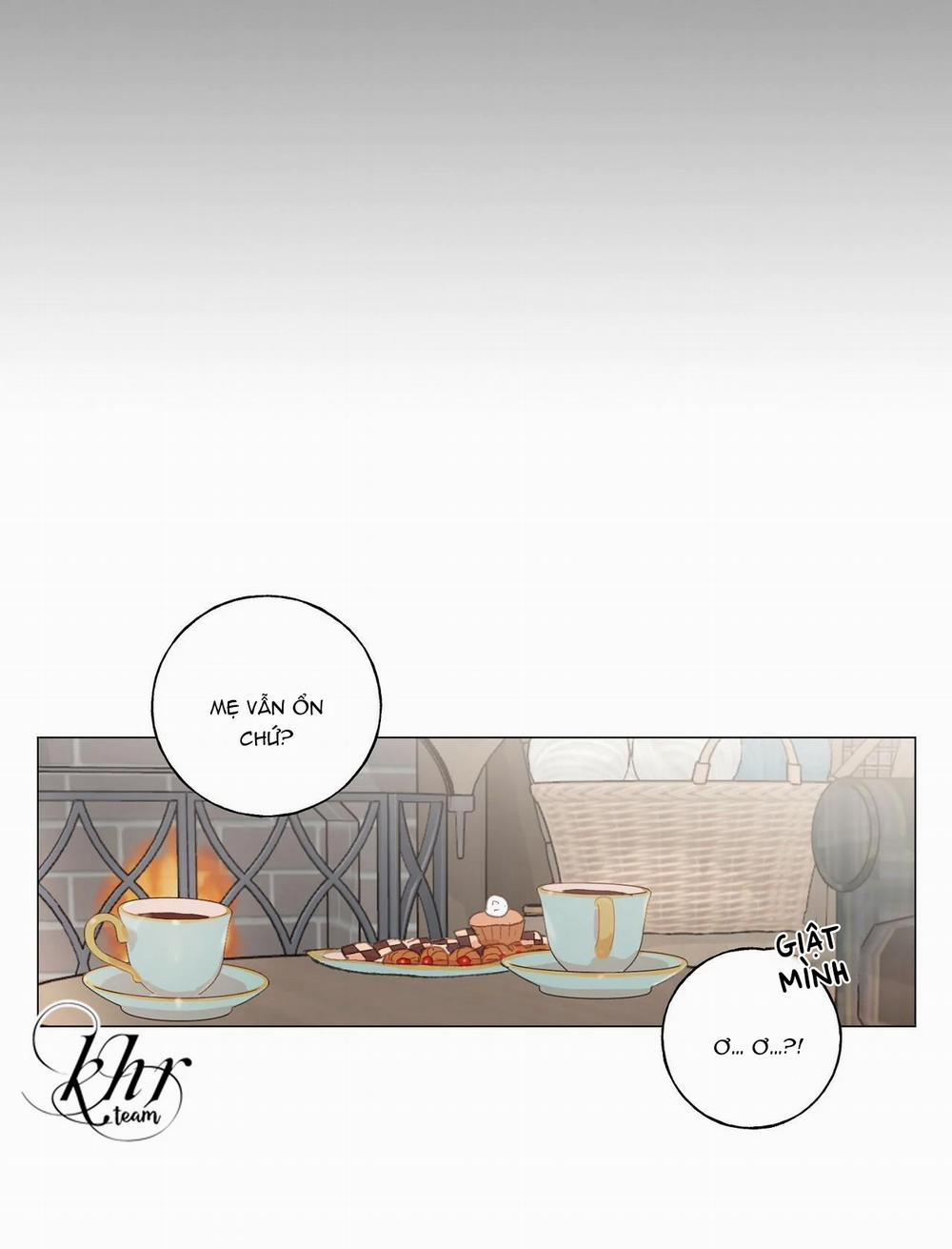 Những Vị Hôn Phu Thầy Kiếm Về Cho Tôi 24 trang 12