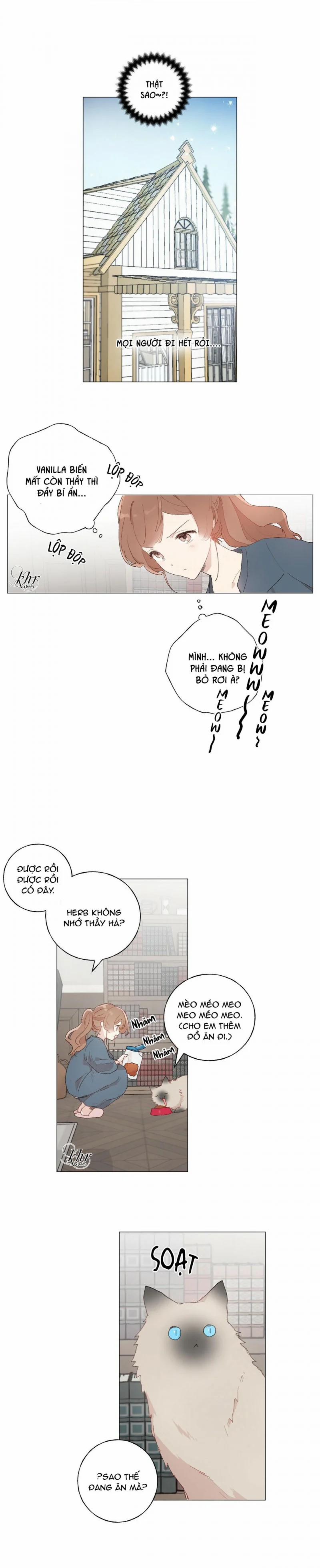 Những Vị Hôn Phu Thầy Kiếm Về Cho Tôi 29 trang 1