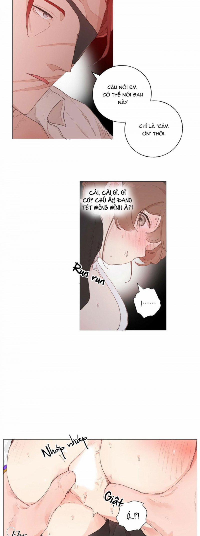 Những Vị Hôn Phu Thầy Kiếm Về Cho Tôi 31.5 trang 10