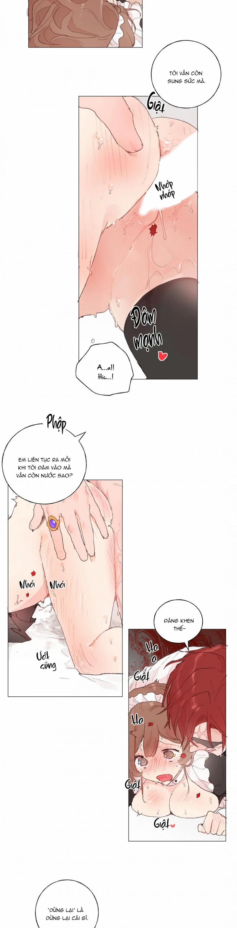 Những Vị Hôn Phu Thầy Kiếm Về Cho Tôi 32 trang 4