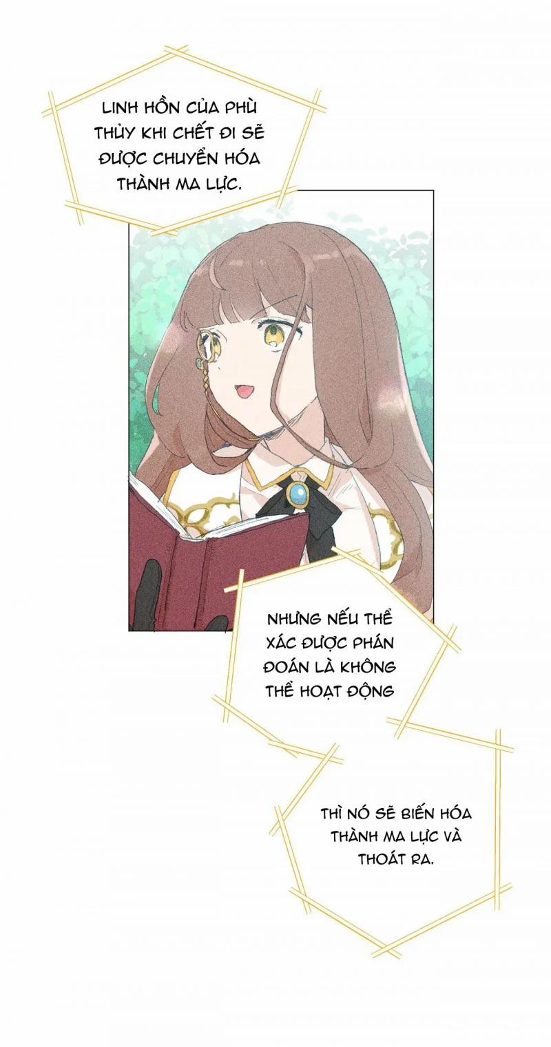 Những Vị Hôn Phu Thầy Kiếm Về Cho Tôi 33 trang 4