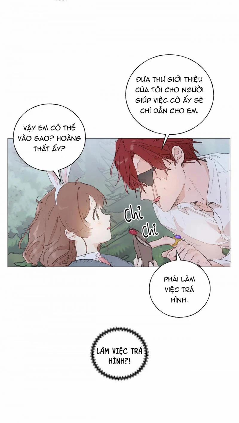 Những Vị Hôn Phu Thầy Kiếm Về Cho Tôi 34.5 trang 17