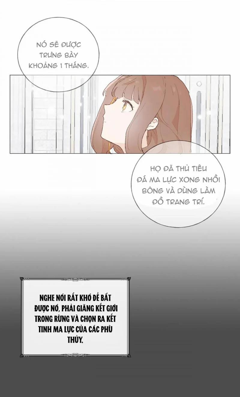 Những Vị Hôn Phu Thầy Kiếm Về Cho Tôi 34 trang 11