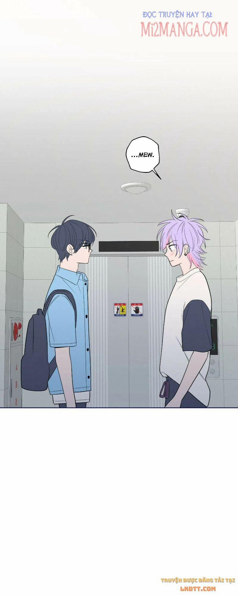 Nice To Meet You 50 trang 3