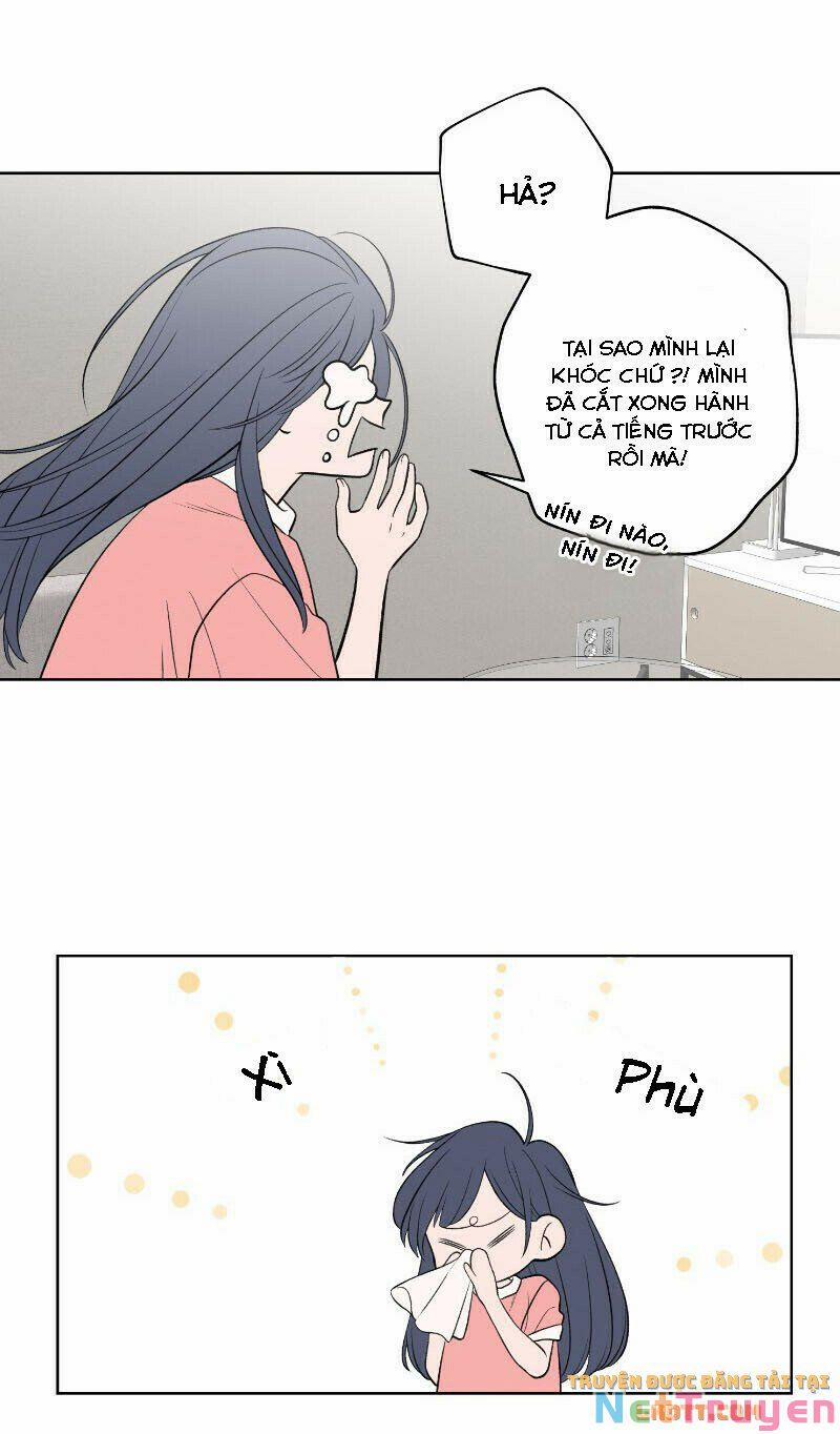 Nice To Meet You 54 trang 48