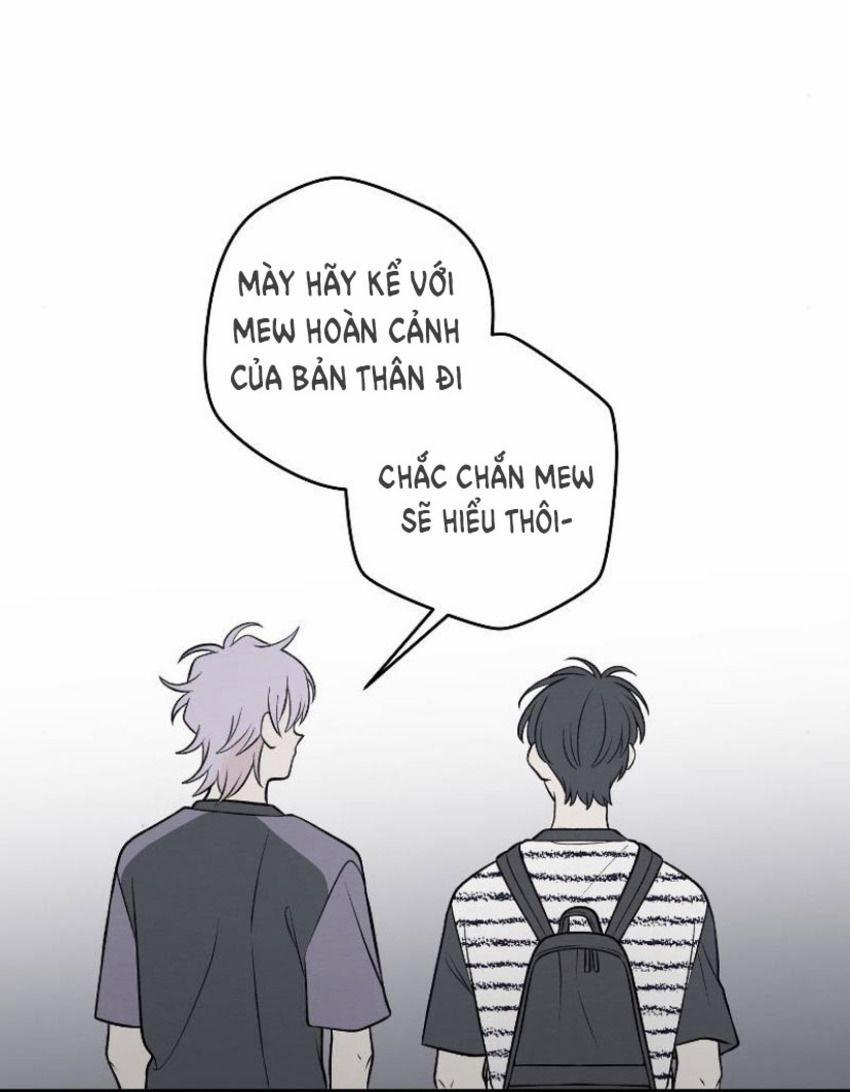 Nice To Meet You 64 trang 13