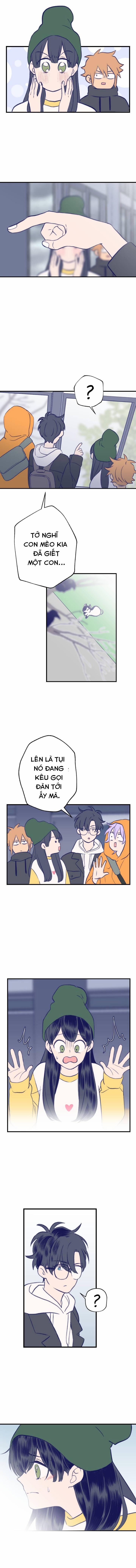 Nice To Meet You 8 trang 5