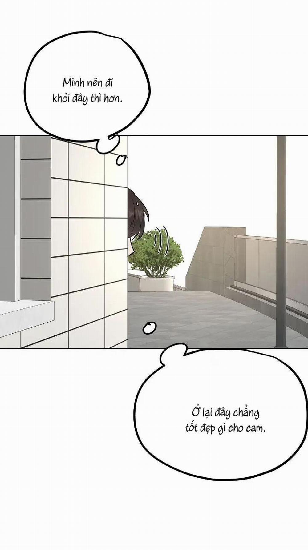 Niềm An Ủi Ngày Chủ Nhật 42 trang 10