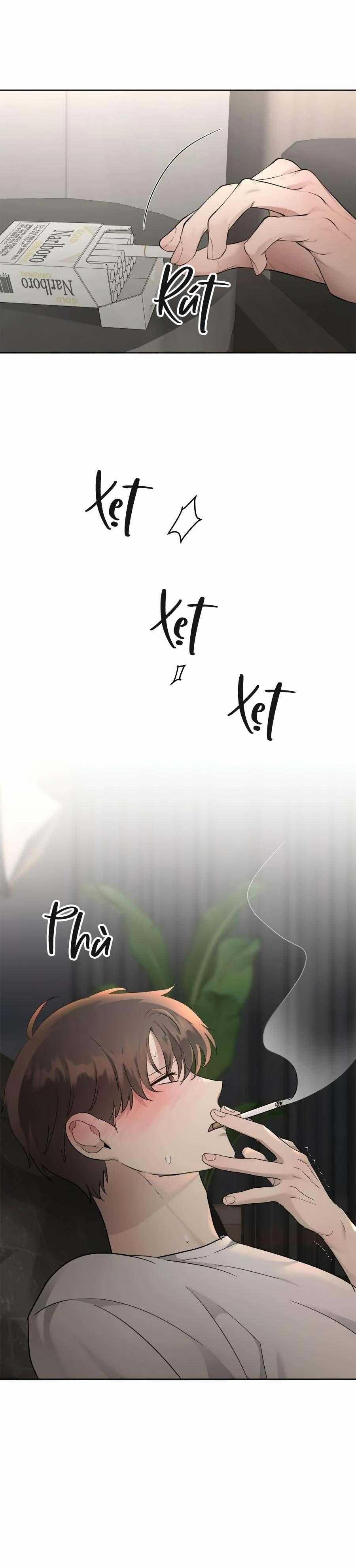 Niềm An Ủi Ngày Chủ Nhật 58 trang 14