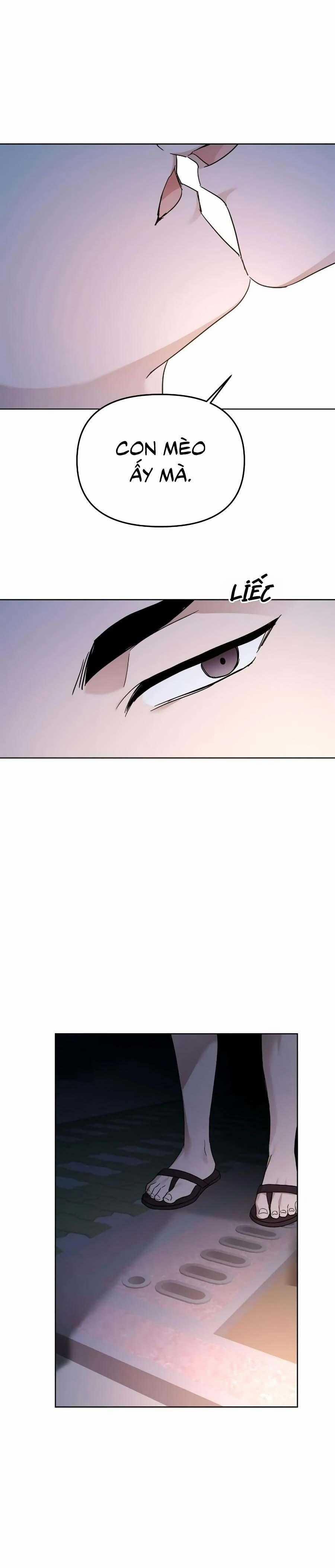 Niềm An Ủi Ngày Chủ Nhật 61 trang 6