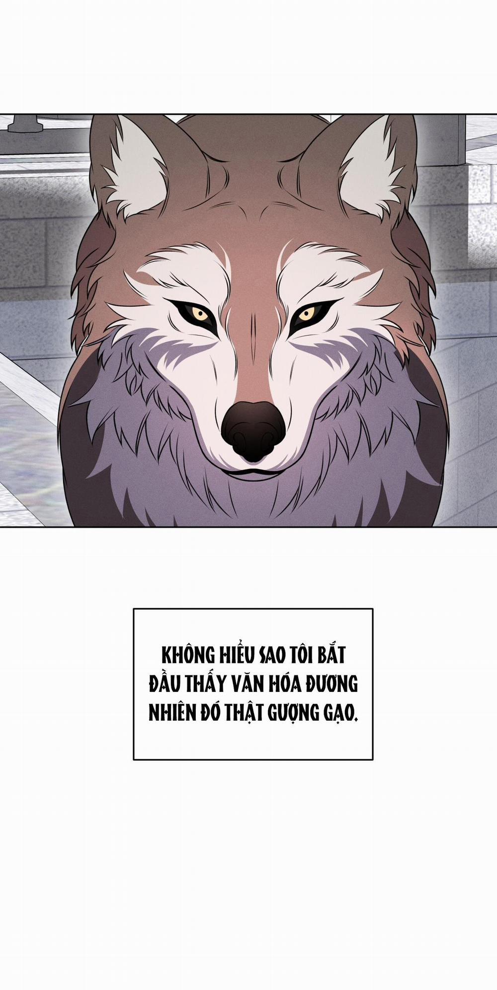 NIGHT OF LONDON 19 trang 28