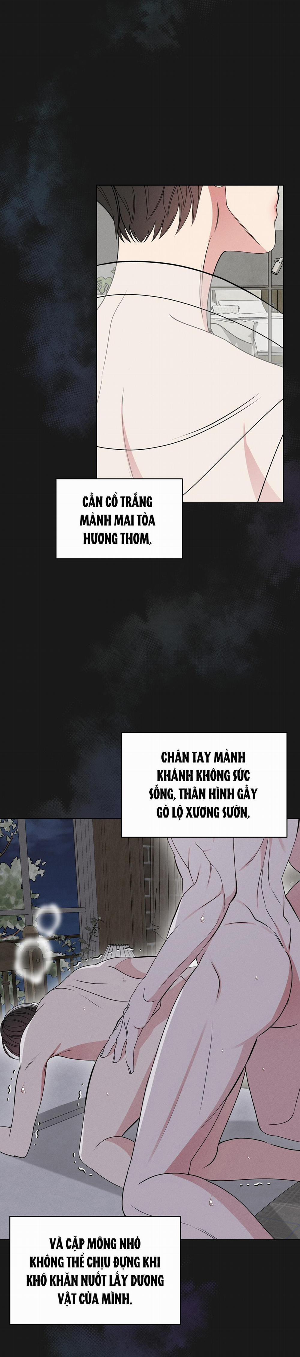 NIGHT OF LONDON 21 trang 11