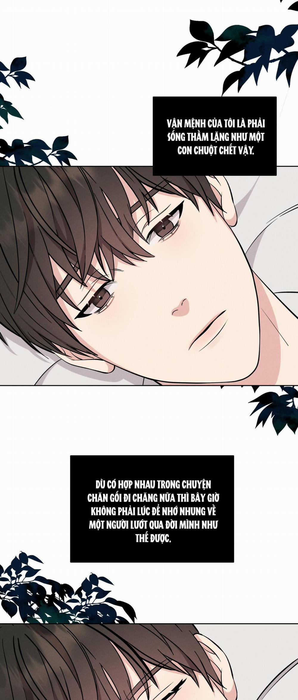 NIGHT OF LONDON 3 trang 13