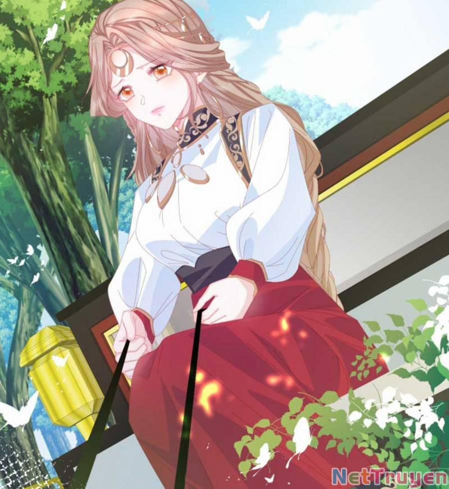 Ninita Yêu Dấu 1 trang 8