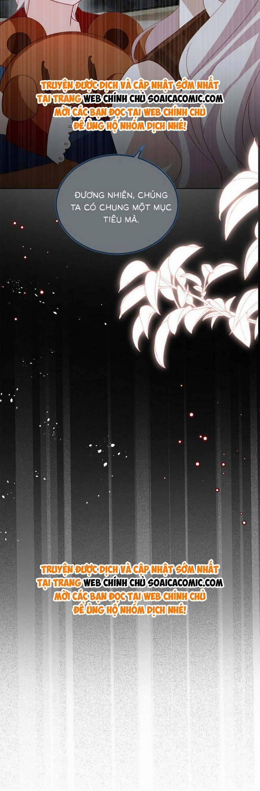 Ninita Yêu Dấu 75 trang 17