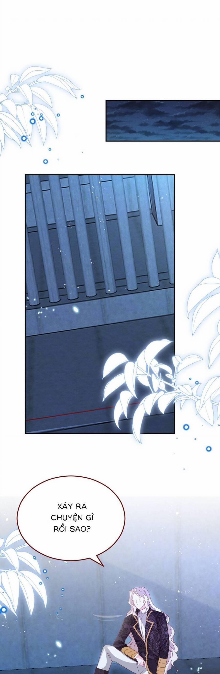 Ninita Yêu Dấu 78 trang 0