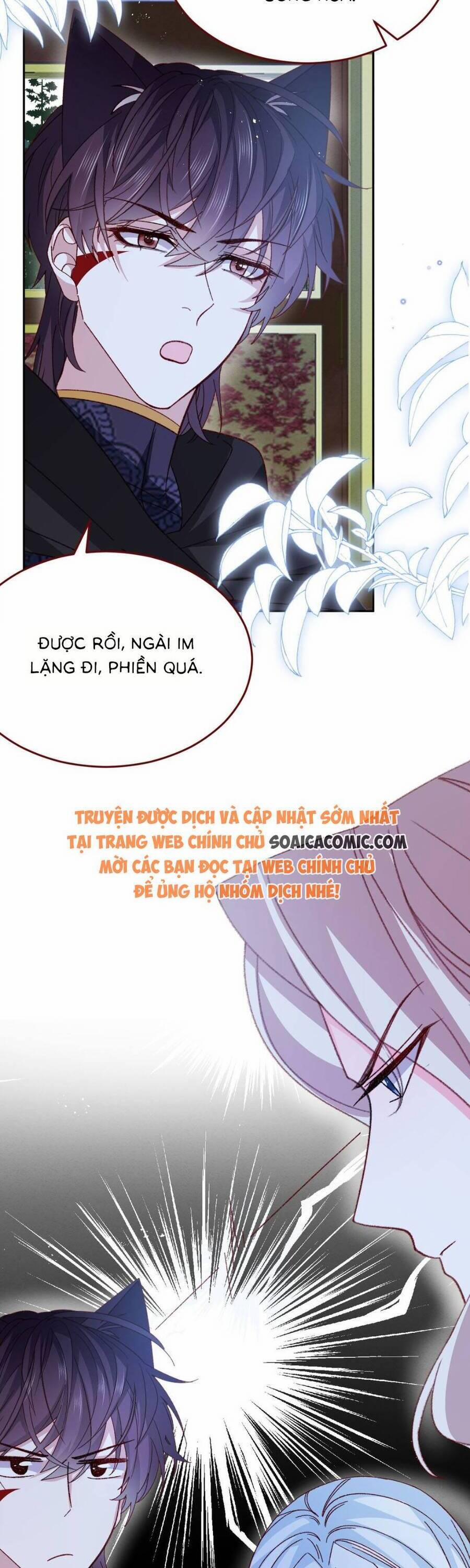 Ninita Yêu Dấu 78 trang 16