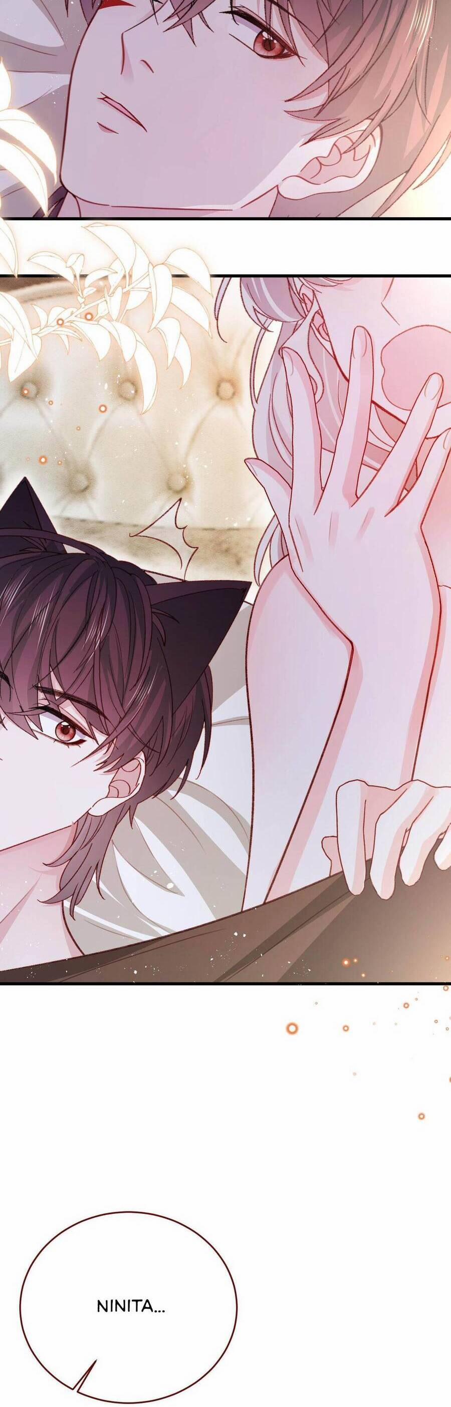 Ninita Yêu Dấu 85 trang 20