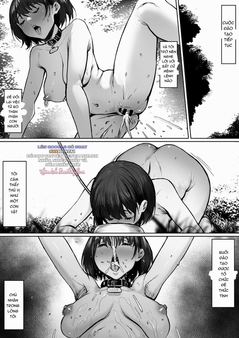 Nô Lệ Đầy Tham Vọng 0 End trang 9