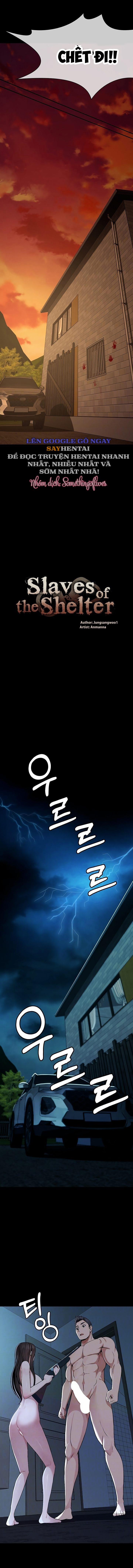 Nô lệ Hầm trú ẩn 11 trang 1