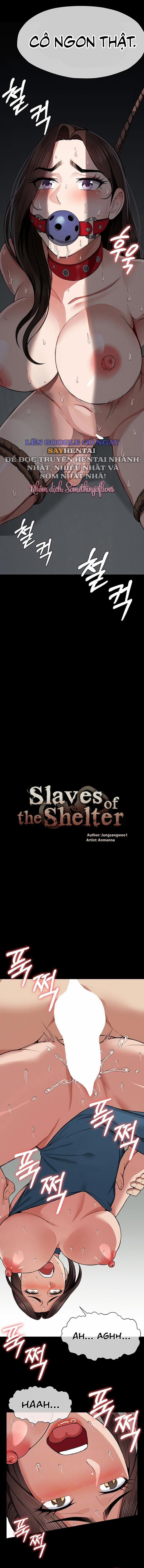 Nô lệ Hầm trú ẩn 15 trang 1