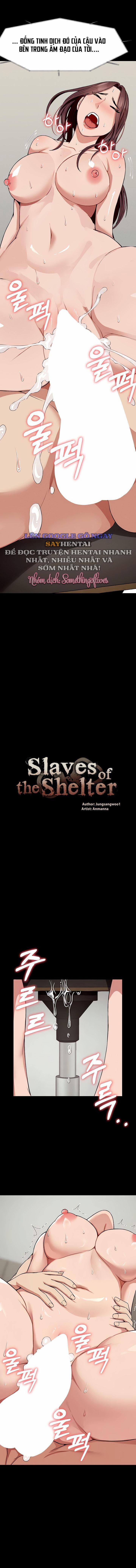 Nô lệ Hầm trú ẩn 23 trang 1
