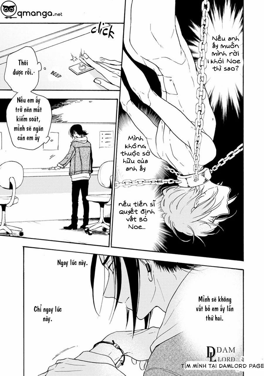Noe67 4 trang 17
