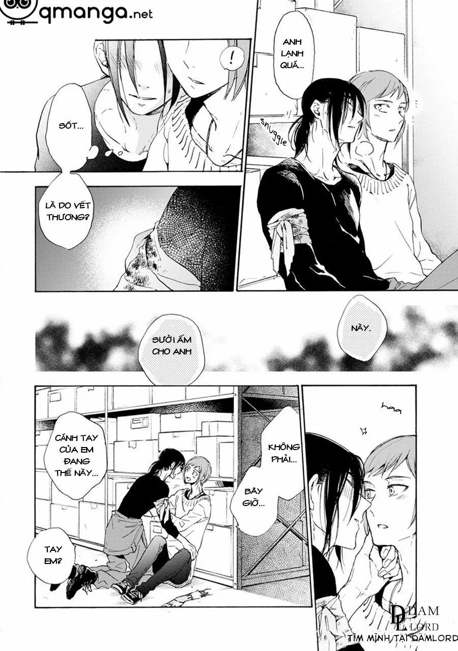 Noe67 5 trang 6