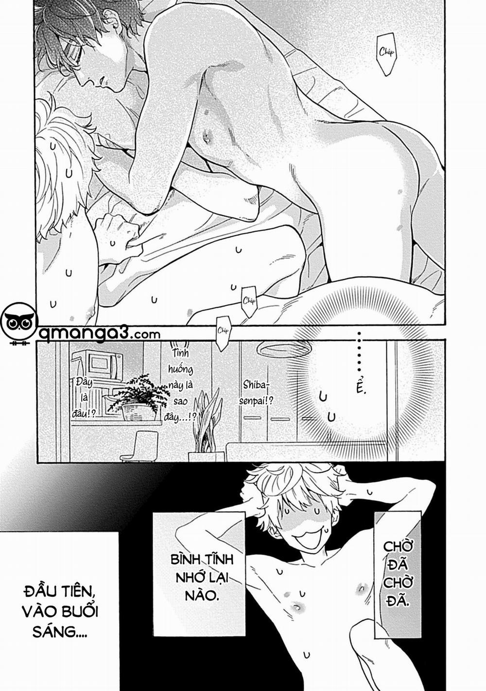 Nơi May Mắn Hoàn Hảo Của Shiba Senpai 1 trang 2