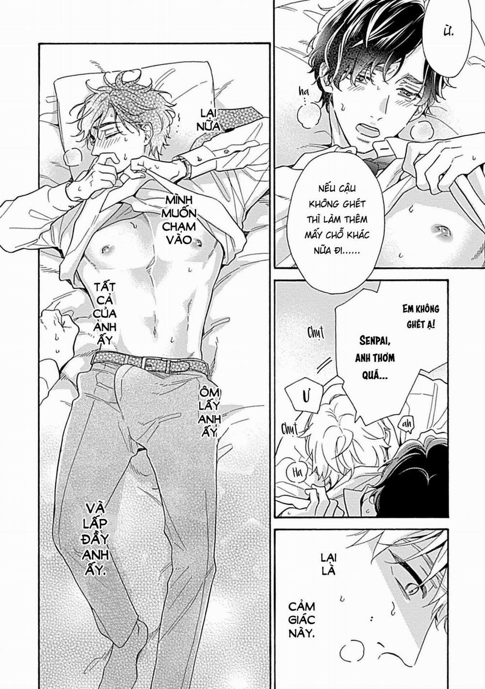 Nơi May Mắn Hoàn Hảo Của Shiba Senpai 1 trang 25