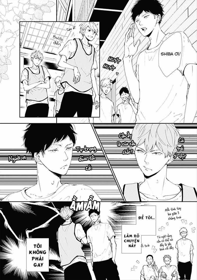 Nomi Và Shiba 1 trang 10