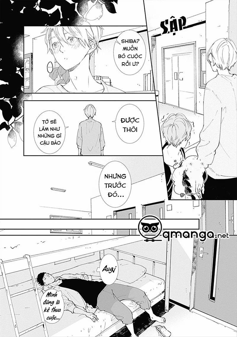 Nomi Và Shiba 1 trang 32